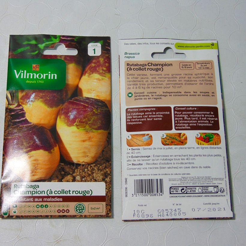 Esempio di esemplare Rutabaga Champion - Vilmorin sacchetto di semi 3500 (10g) come consegnato