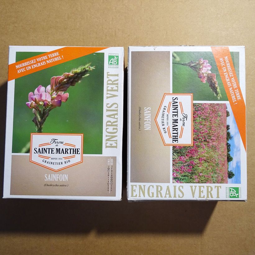 Esempio di esemplare Onobrychis viciifolia - Lupinella comune sacchetto di semi da 200 grammi come consegnato