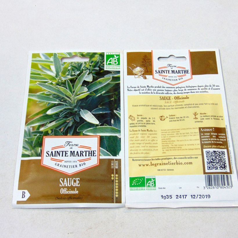Esempio di esemplare Salvia officinalis B - Salvia comune sacchetto di semi 150 (1g) come consegnato