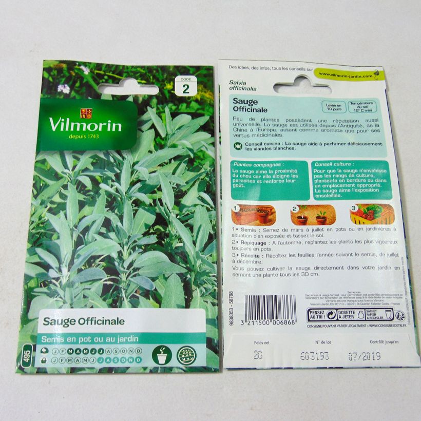 Esempio di esemplare Salvia officinalis - Vilmorin - Salvia comune sacchetto di semi 500 (2g) come consegnato