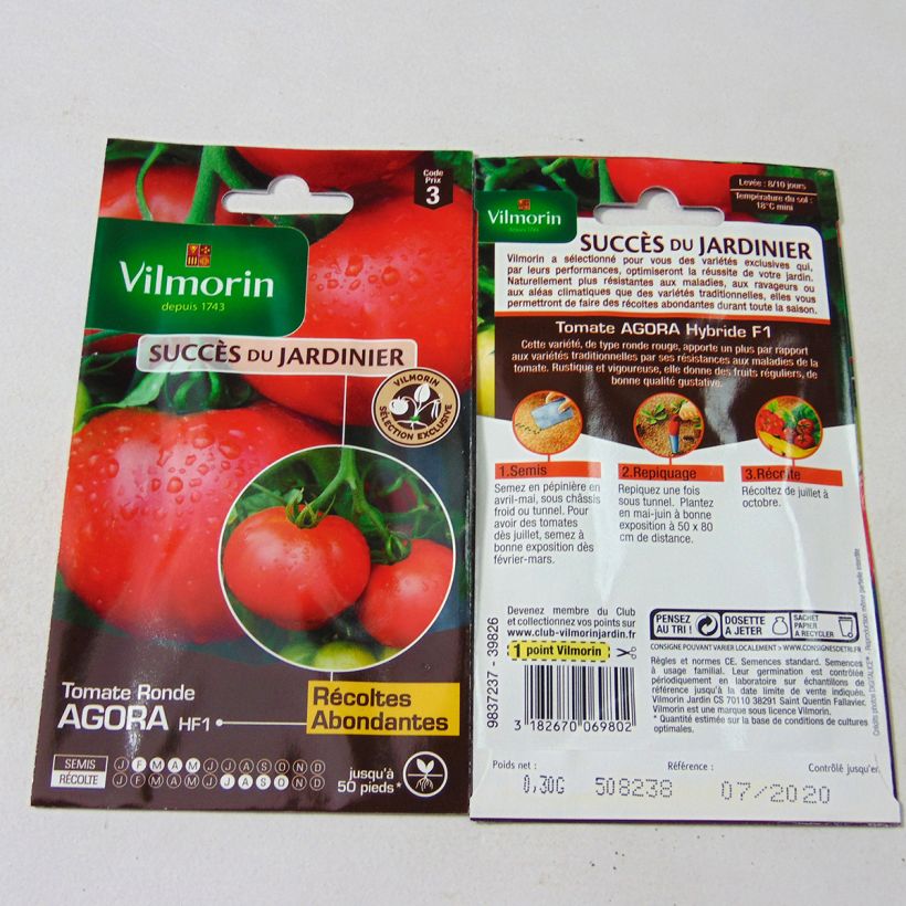 Esempio di esemplare Pomodoro a grappolo Agora sacchetto di semi 90 (0,3g) come consegnato