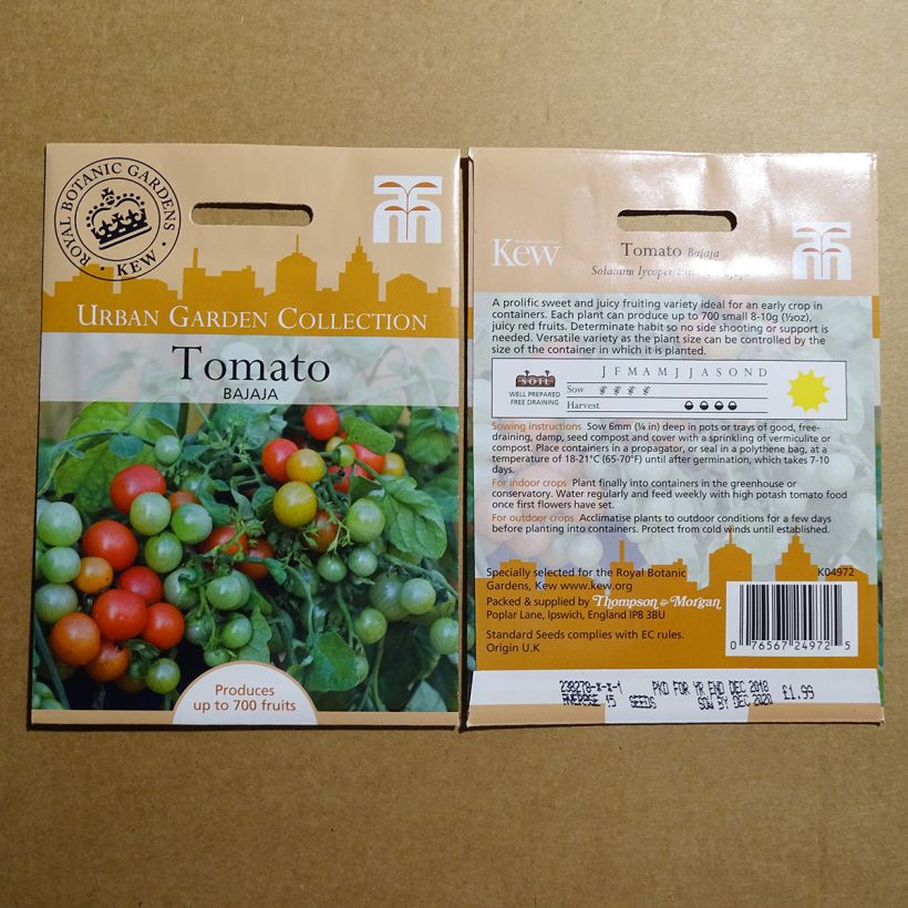 Esempio di esemplare Pomodoro ciliegino/datterino Bajaja sacchetto di semi 15 come consegnato