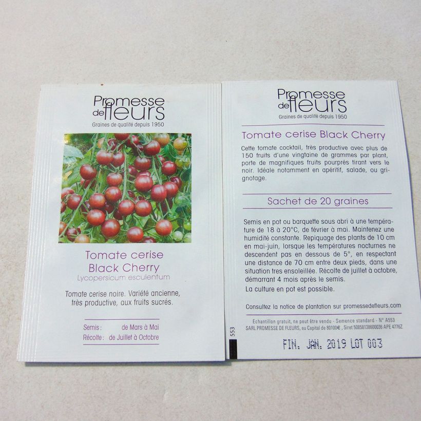 Esempio di esemplare Pomodoro ciliegino/datterino Black Cherry sacchetto di semi 50 (0,1g) come consegnato