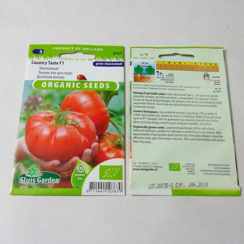 Esempio di esemplare Pomodoro cuore di bue/Beefsteak Country Taste sacchetto di semi 10 come consegnato