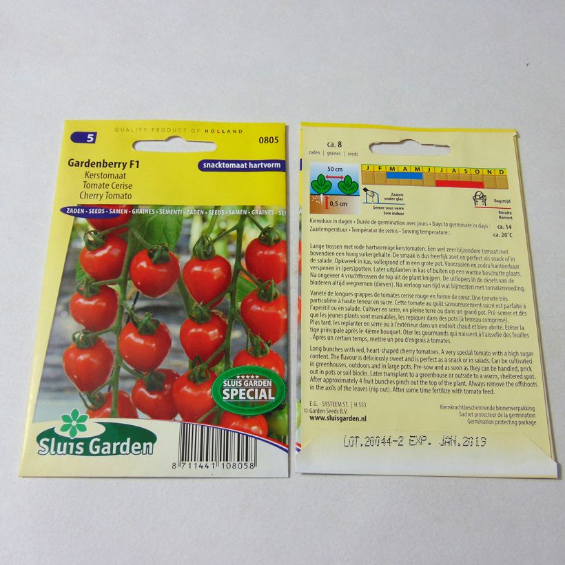 Esempio di esemplare Pomodoro ciliegino/datterino Gardenberry sacchetto di semi 7 come consegnato