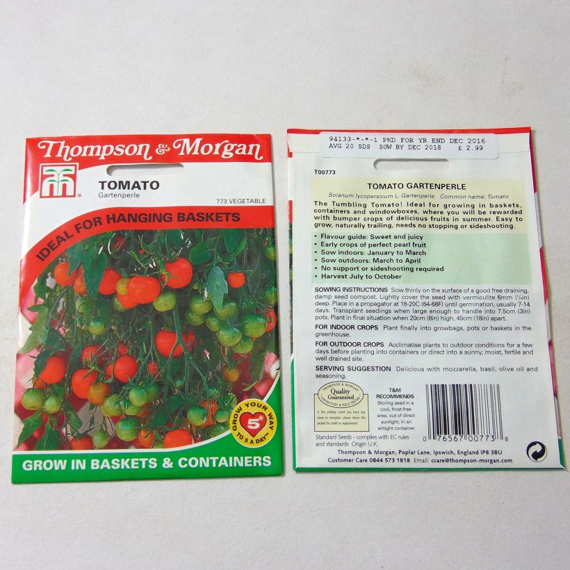 Esempio di esemplare Pomodoro ciliegino/datterino Gartenperle sacchetto di semi 20 come consegnato