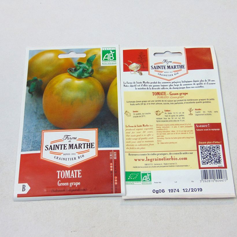 Esempio di esemplare Pomodoro verde Green Grape sacchetto di semi 100 come consegnato