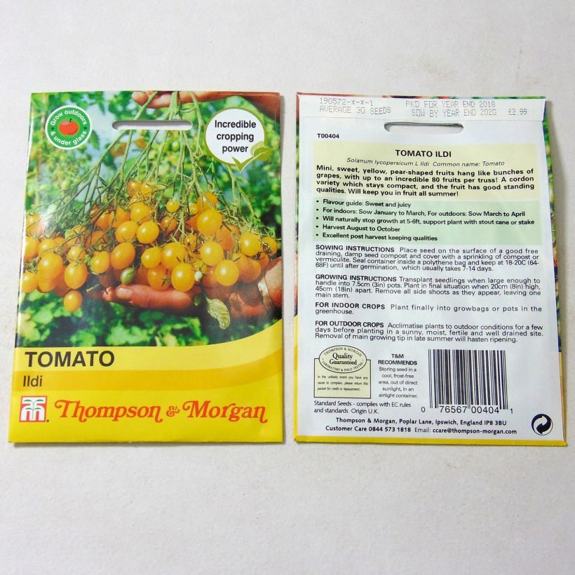 Esempio di esemplare Pomodoro ciliegino/datterino Ildi sacchetto di semi 40 come consegnato