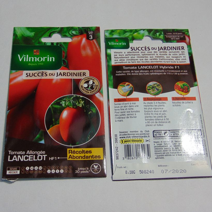 Esempio di esemplare Pomodoro Lancelot sacchetto di semi 30 (0.1g) come consegnato