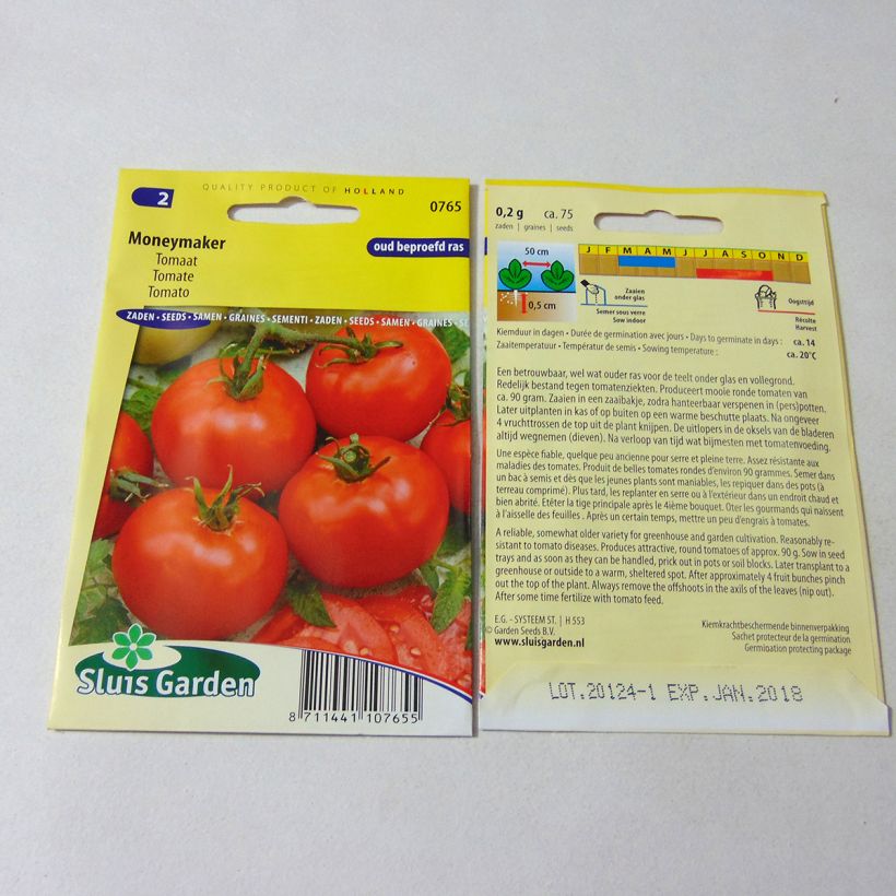 Esempio di esemplare Pomodoro Moneymaker sacchetto di semi 300 (1g) come consegnato