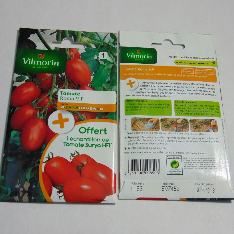 Esempio di esemplare Pomodoro lungo Roma V.F sacchetto di semi 450 (1.5g) come consegnato