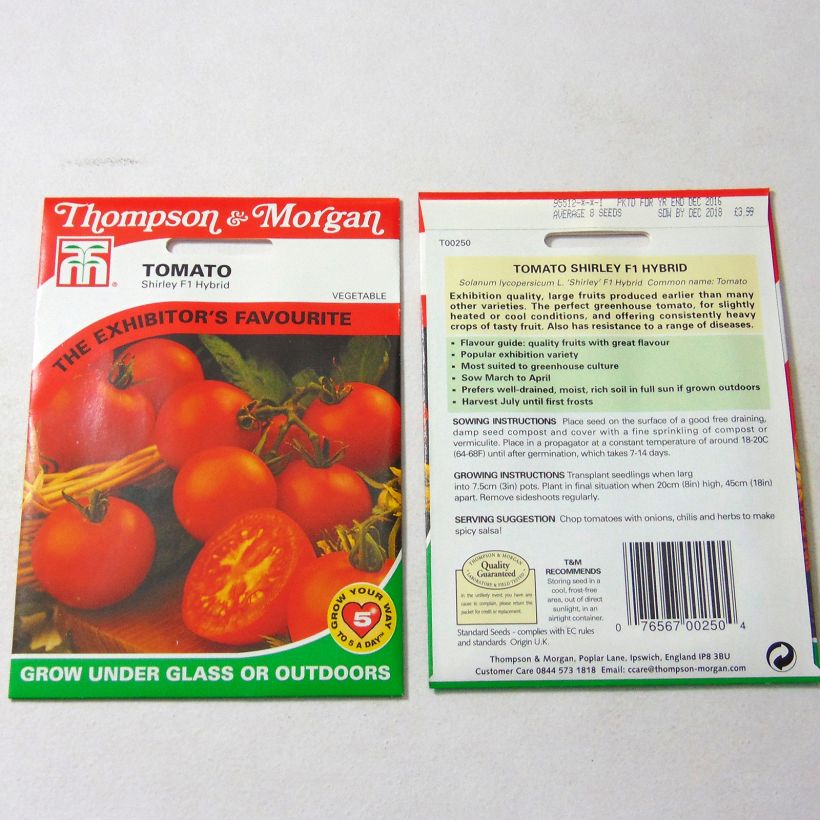 Esempio di esemplare Pomodoro Shirley sacchetto di semi 10 come consegnato
