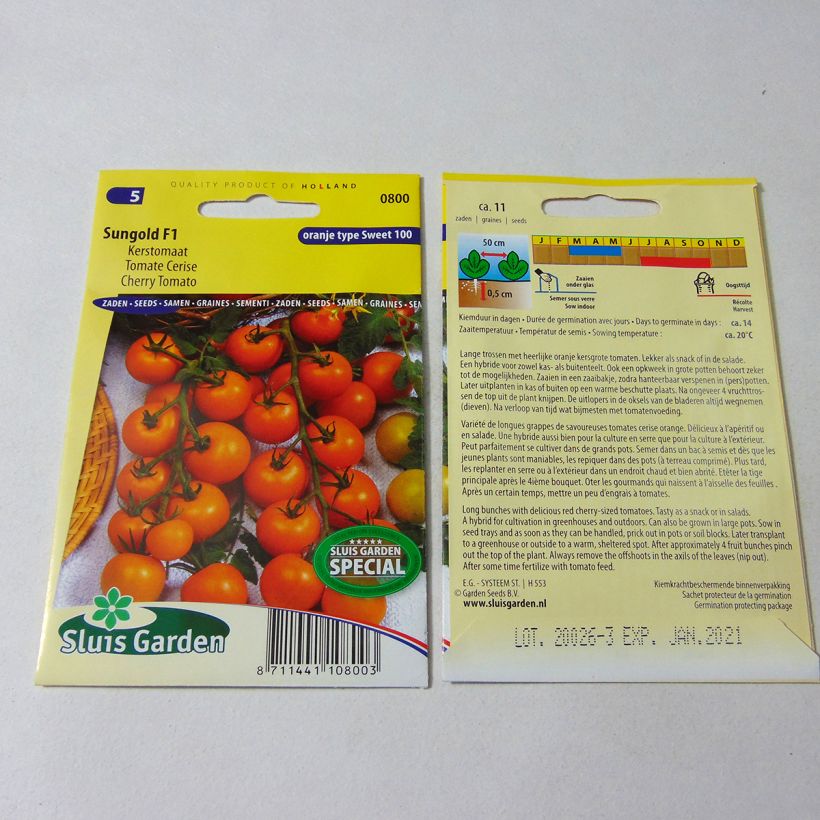 Esempio di esemplare Pomodoro ciliegino/datterino Sungold sacchetto di semi 11 come consegnato