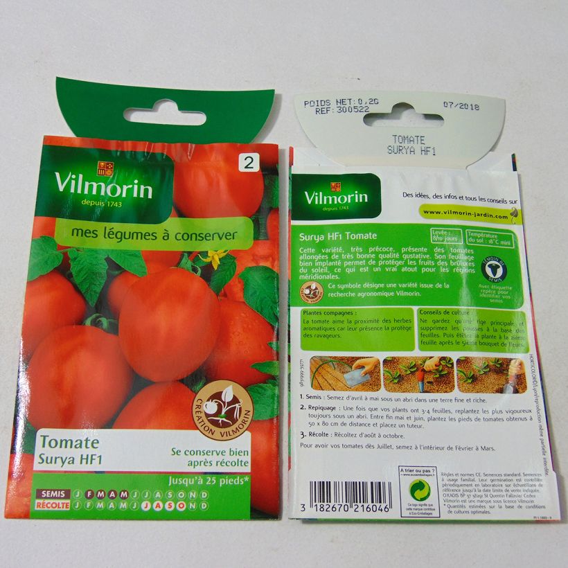 Esempio di esemplare Pomodoro ciliegino/datterino Surya sacchetto di semi 60 (0.2g) come consegnato
