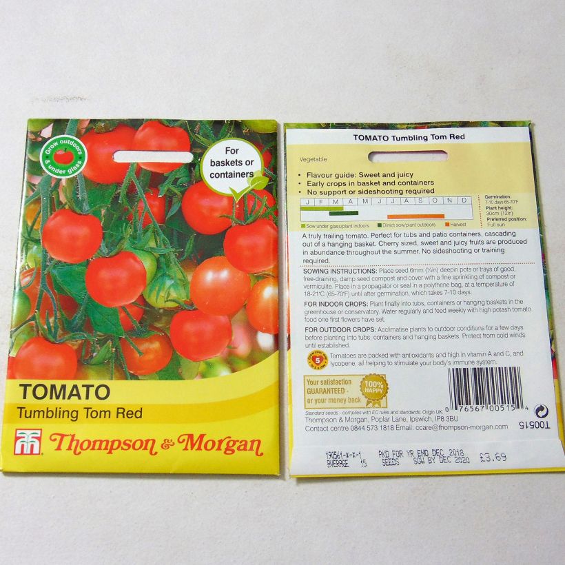 Esempio di esemplare Pomodoro ciliegino/datterino Tumbling Tom Red sacchetto di semi 15 come consegnato