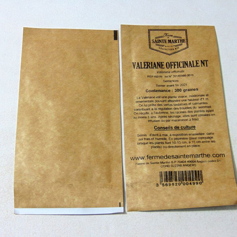 Esempio di esemplare Valeriana officinalis NT - Ferme de Sainte Marthe - Valeriana comune sacchetto di semi 500 (0,4g) come consegnato