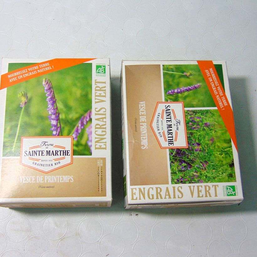 Esempio di esemplare Vicia sativa - Veccia dolce sacchetto di semi da 500 grammi come consegnato