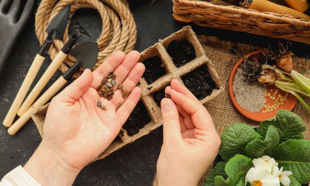 Tutto ciò che ti serve per la semina!