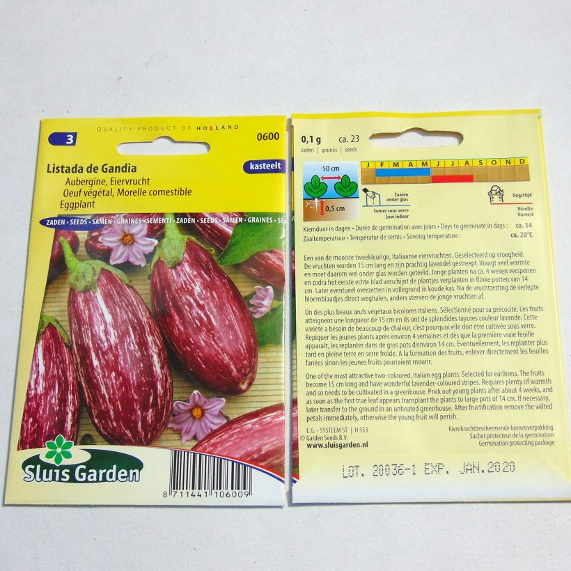 Esempio di esemplare Melanzana Listada de Gandia sacchetto di semi 200 (1g) come consegnato