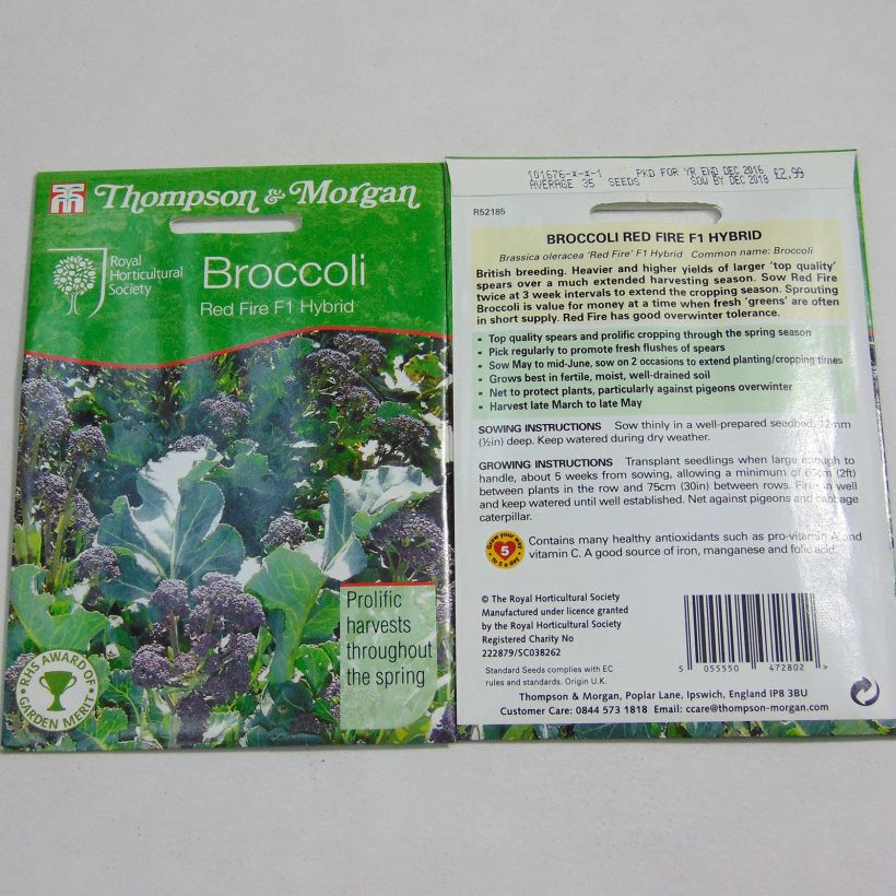 Esempio di esemplare Cavolo broccolo Red Fire F1 sacchetto di semi 35 come consegnato