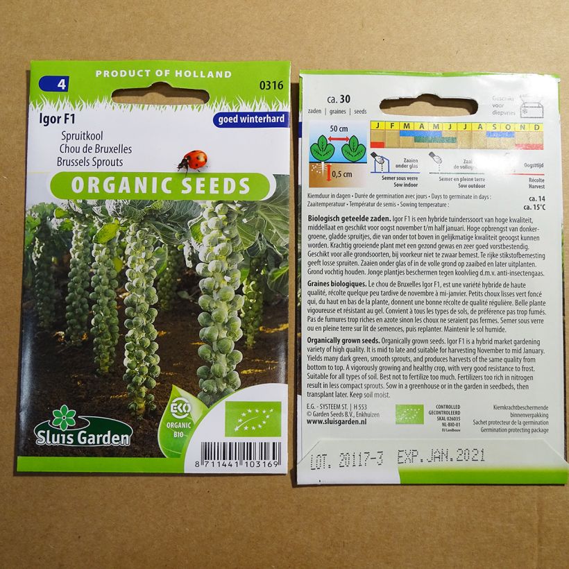 Esempio di esemplare Cavolini di Bruxelles Igor F1 Bio sacchetto di semi 30 come consegnato