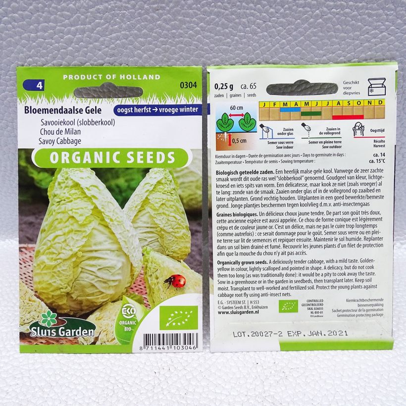 Esempio di esemplare Cavolo verza Bloemendaalse Gele Bio sacchetto di semi 65 (0,25g) come consegnato