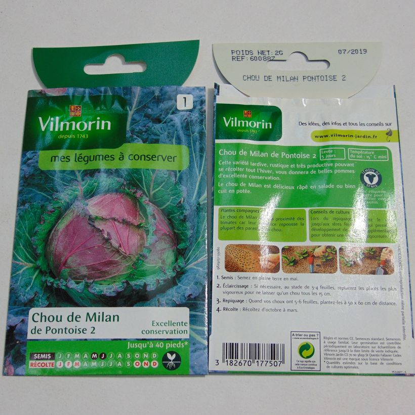 Esempio di esemplare Cavolo verza de Pontoise - Vilmorin sacchetto di semi 1200 (2g) come consegnato