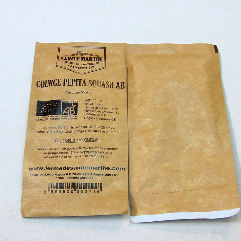 Esempio di esemplare Zucca Yoeme Kama Pepita Squash sacchetto di semi 20 (6g) come consegnato