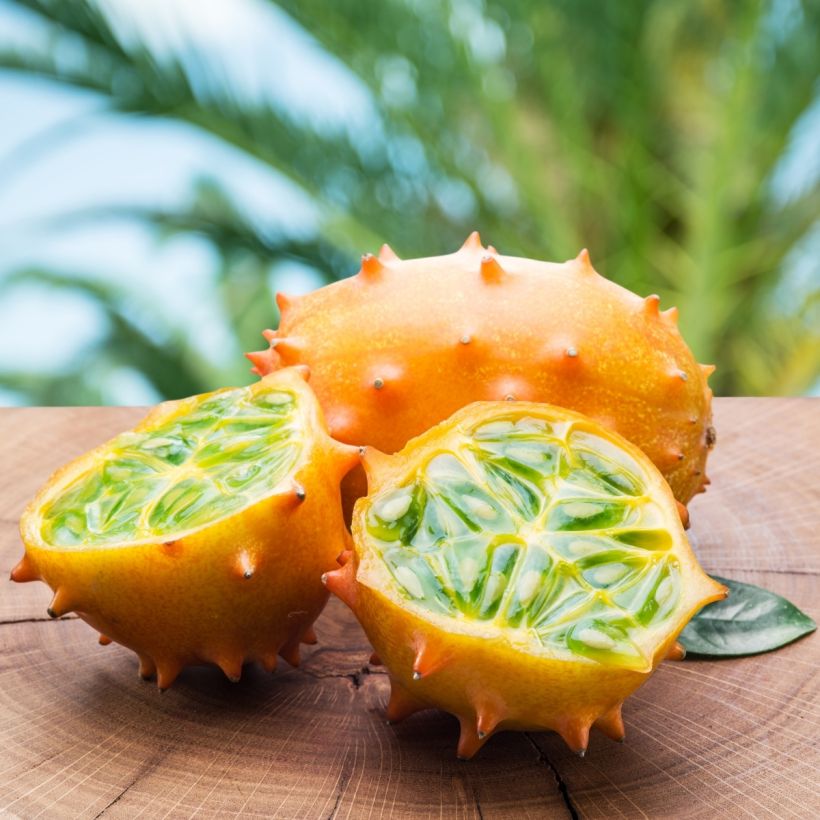 Cucumis metuliferus - Kiwano (Raccolta)