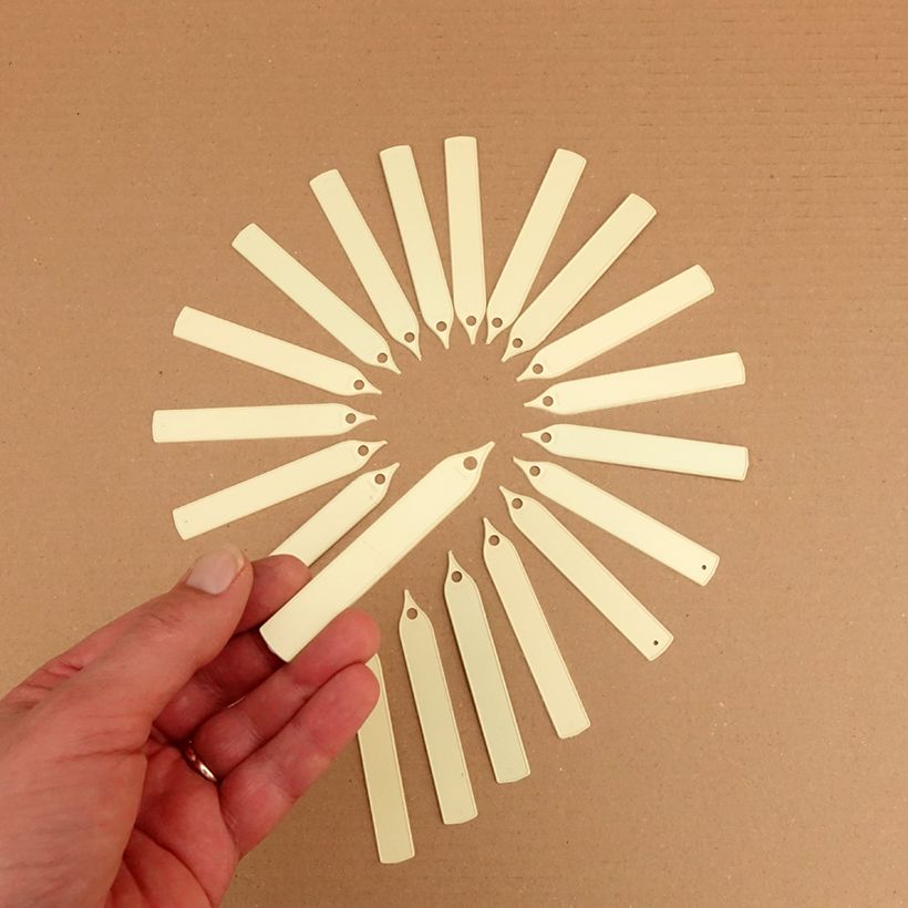 Esempio di esemplare Etiquette étroite à planter ivoire Confezione come consegnato