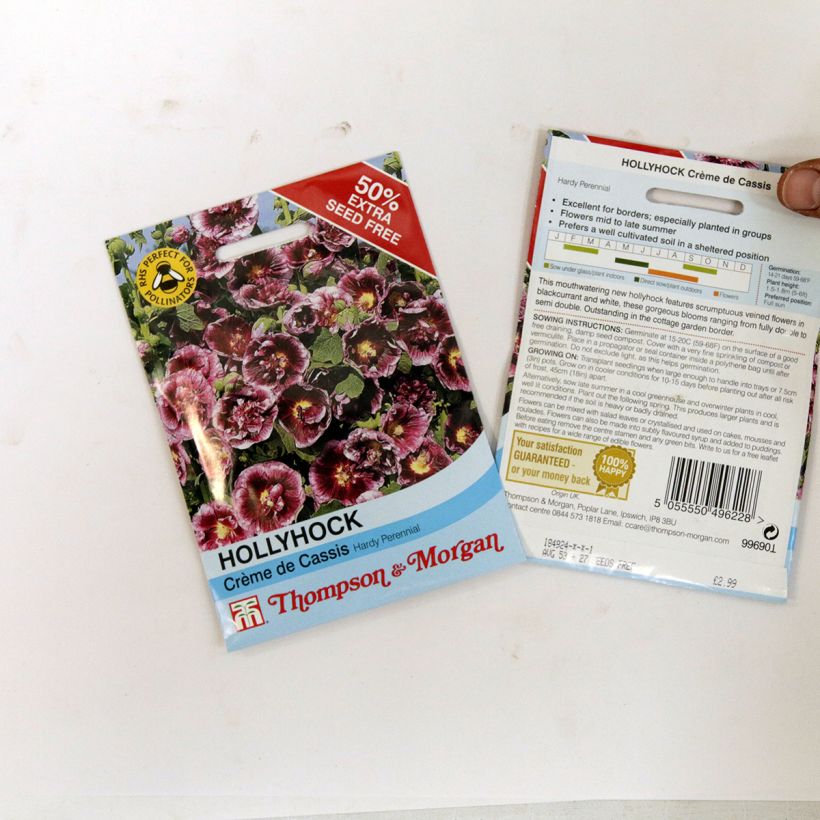 Esempio di esemplare Alcea rosea Crème de cassis - Malvarosa sacchetto di semi da 0.48 grammi come consegnato