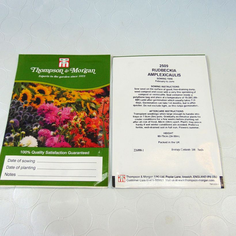 Esempio di esemplare Rudbeckia amplexicaulis sacchetto di semi 400 (0,3g) come consegnato