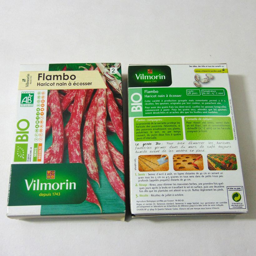 Esempio di esemplare Fagiolo da sgranare Flambo Bio - Vilmorin sacchetto di semi 200 (100g) come consegnato