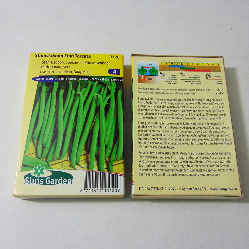 Esempio di esemplare Fagiolo nano Fran Toccata sacchetto di semi 150 (75g) come consegnato