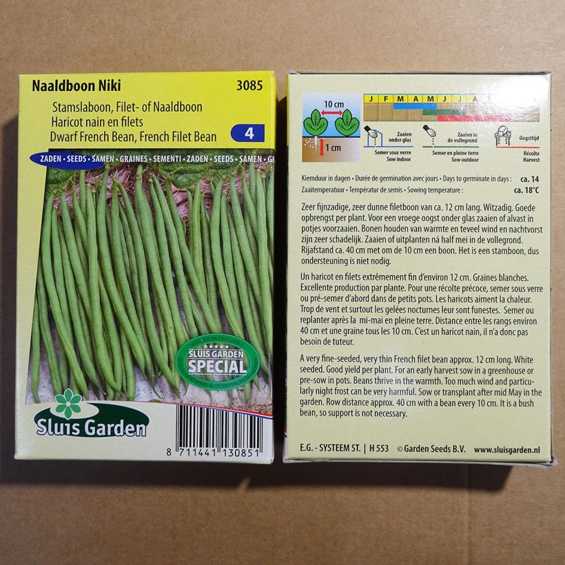 Esempio di esemplare Fagiolo nano Niki sacchetto di semi 150 (75g) come consegnato