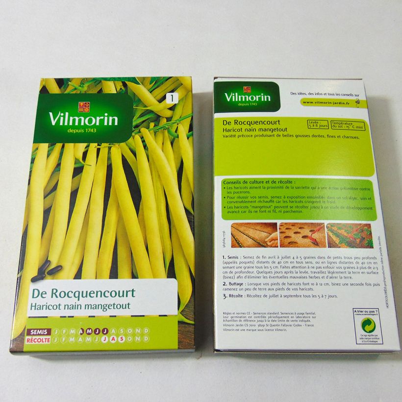 Esempio di esemplare Fagiolino Rocquencourt - Vilmorin sacchetto di semi 500 (250g) come consegnato