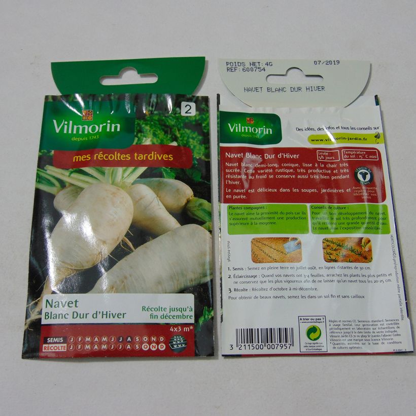Esempio di esemplare Rapa Bianca dura d'inverno - Vilmorin sacchetto di semi 1600 (4g) come consegnato