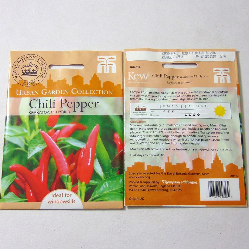 Esempio di esemplare Peperoncino Krakatoa sacchetto di semi 6 come consegnato