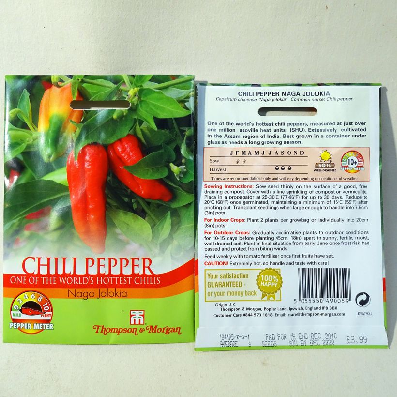 Esempio di esemplare Peperoncino Naga Jolokia sacchetto di semi 6 come consegnato