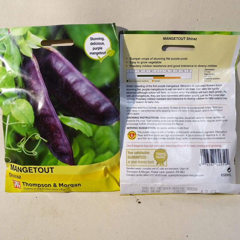 Esempio di esemplare Pisello mangiatutto Shiraz sacchetto di semi 100 come consegnato
