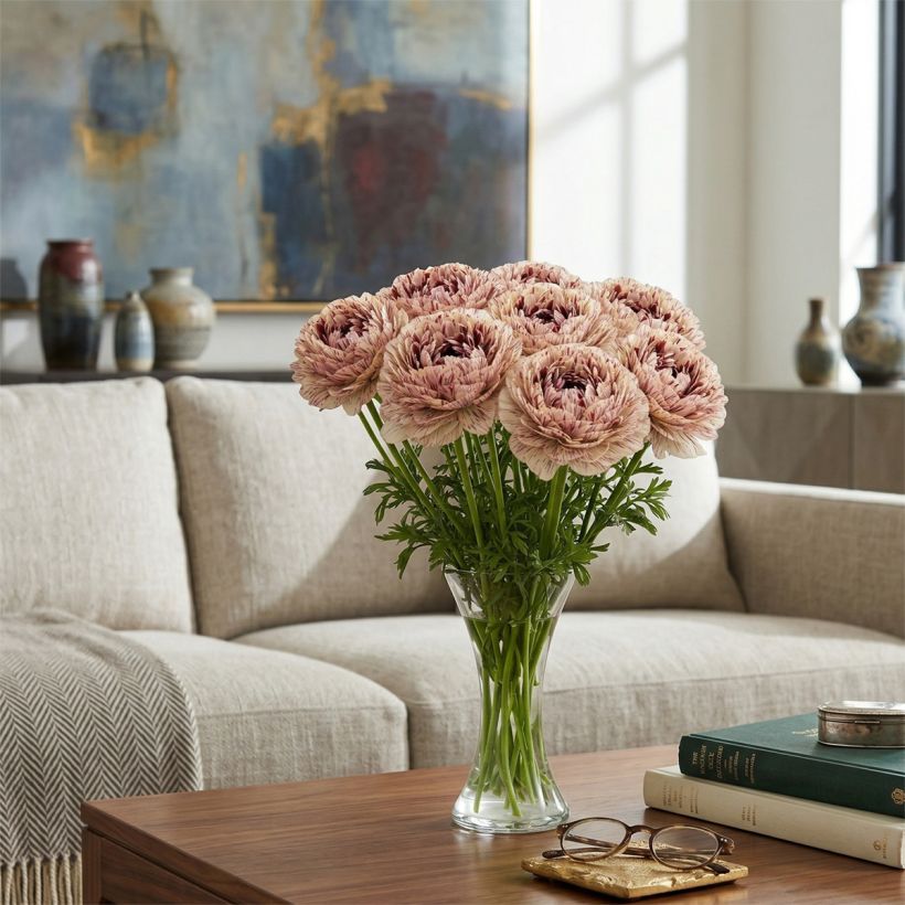 Ranuncolo asiatico Brushmark Verona – Ranunculus asiaticus (Porto)