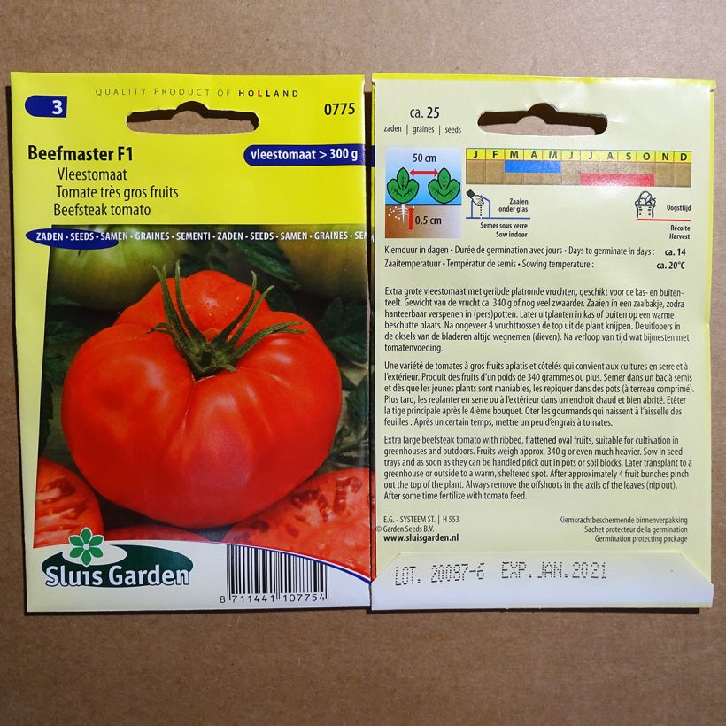 Esempio di esemplare Pomodoro cuore di bue/Beefsteak Beefmaster F1 sacchetto di 25 semi circa come consegnato