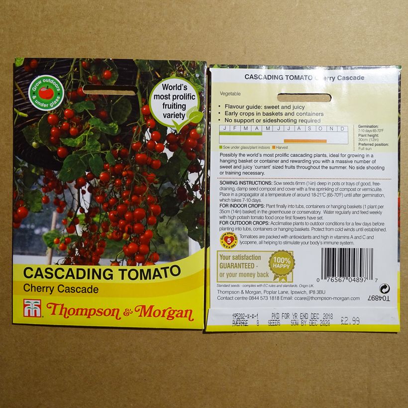 Esempio di esemplare Pomodoro ciliegino/datterino Cherry Cascade sacchetto di semi 8 come consegnato