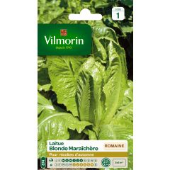 Lattuga romana Maraichere bionda - Vilmorin