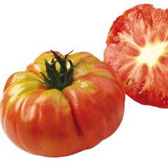 Pomodoro cuore di bue/Beefsteak Zucca scarlatta