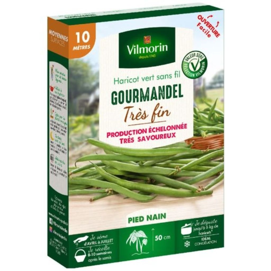 Fagiolo nano Gourmandel