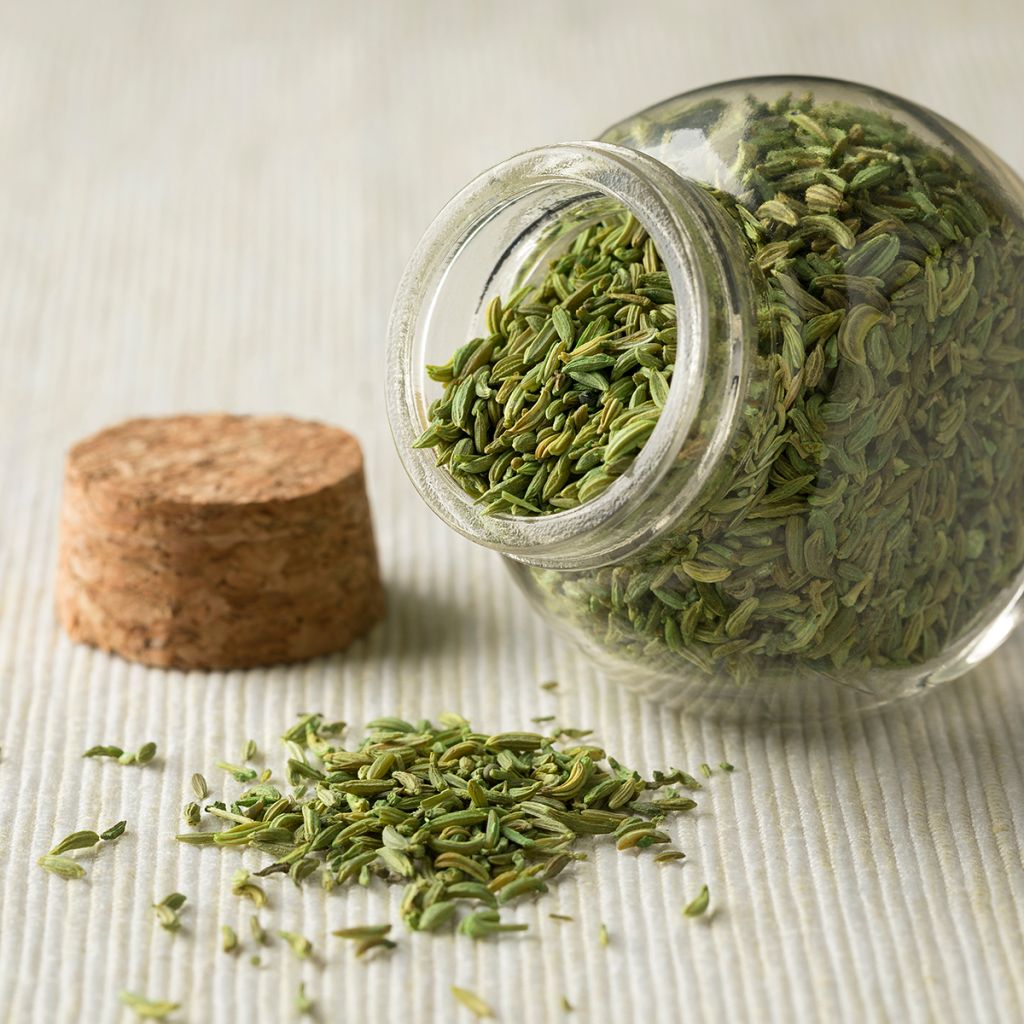 Pimpinella anisum BIO - Anice comune