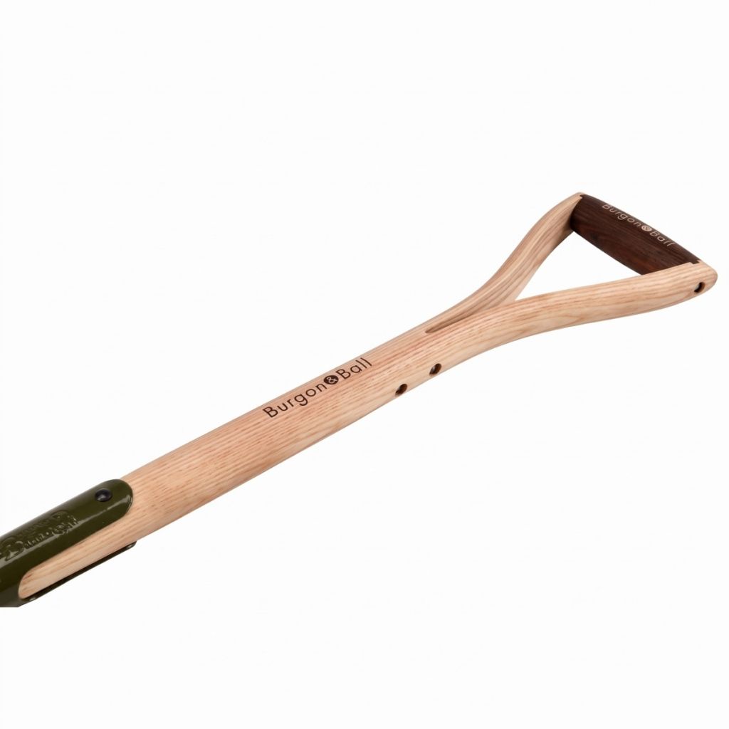 Zappa BoronGreen Burgon & Ball - Gamma RHS