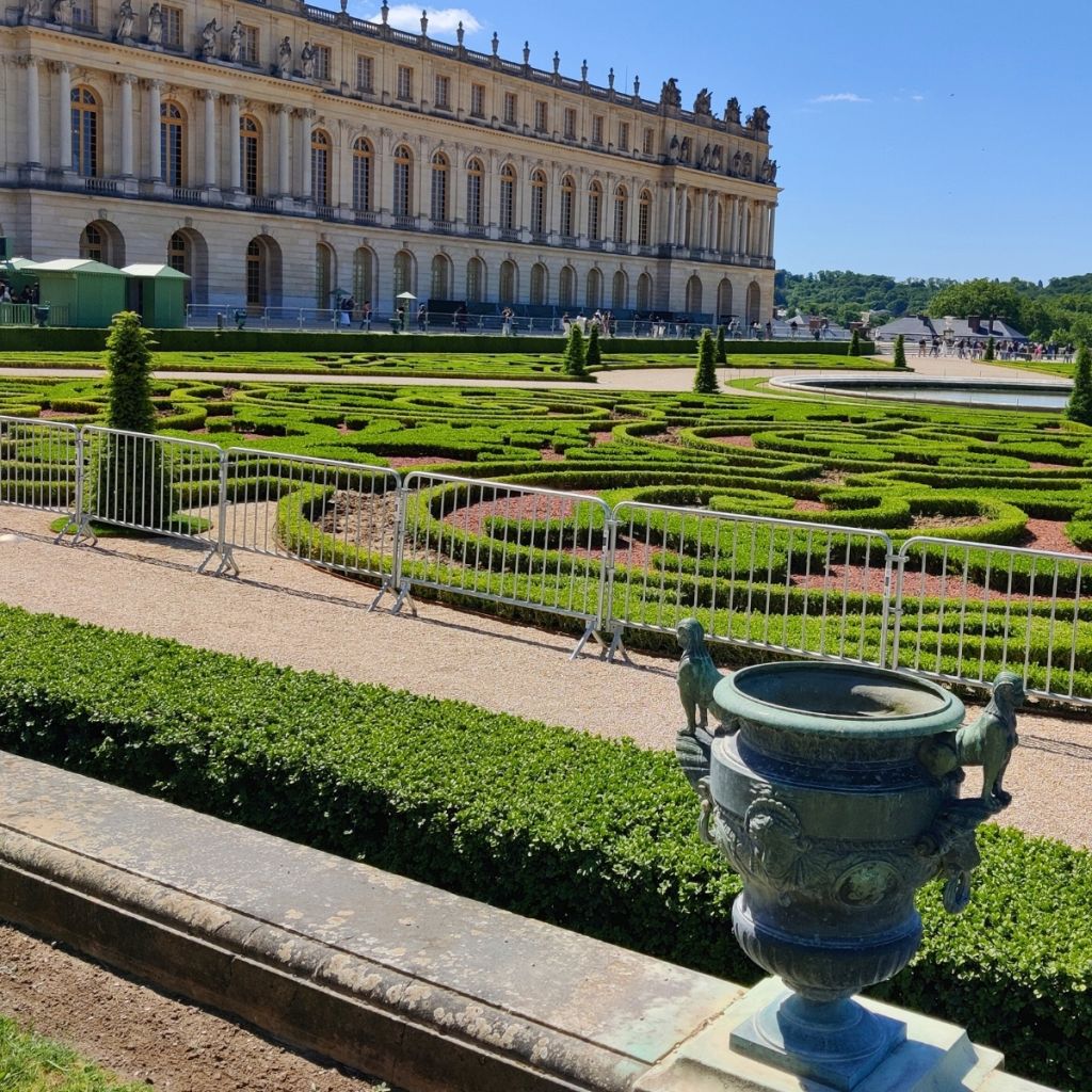 Buxus Betterbuxus Heritage - Bosso