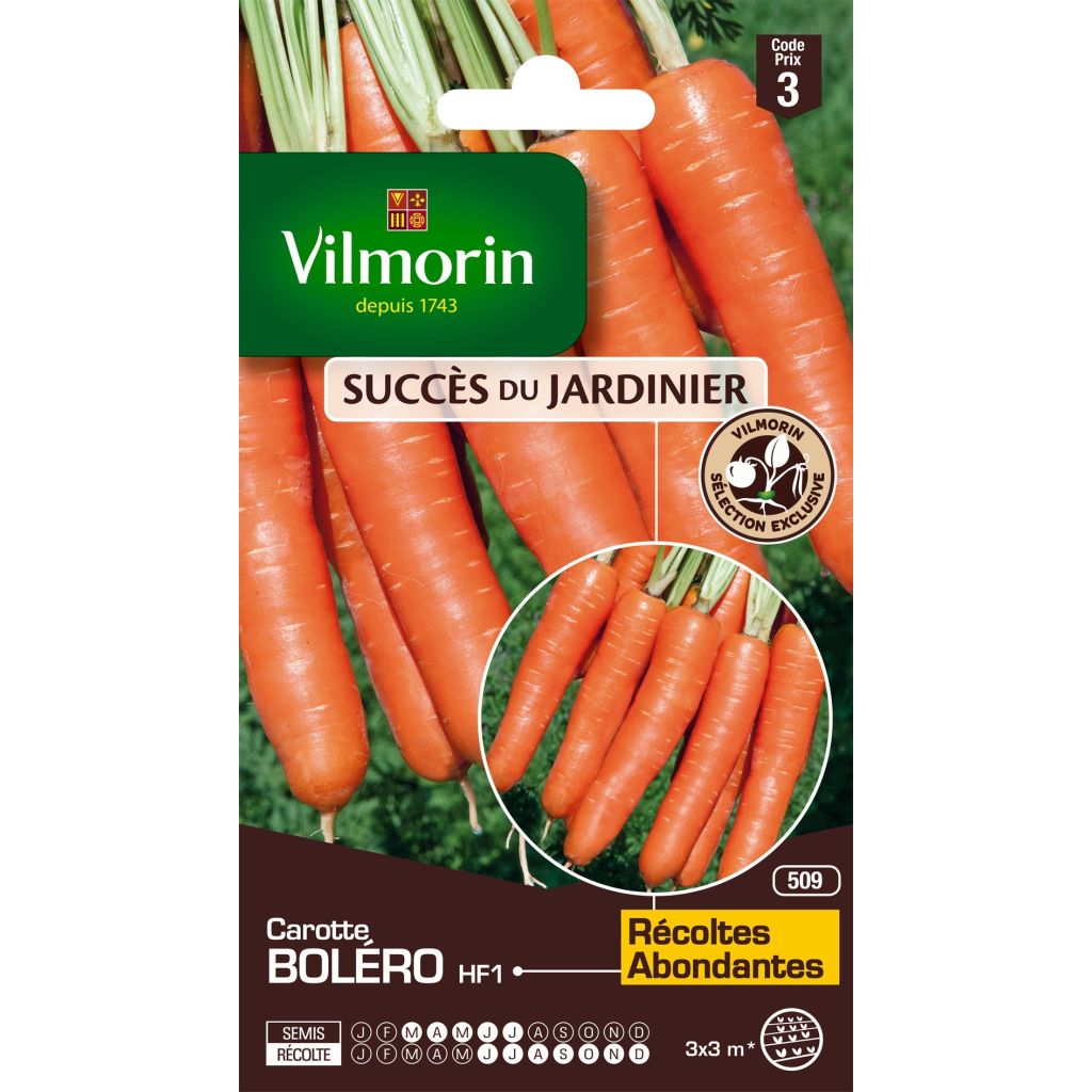Carota Bolero